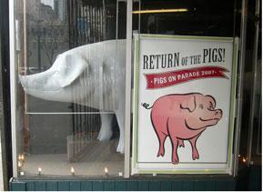 Return of the Pigs